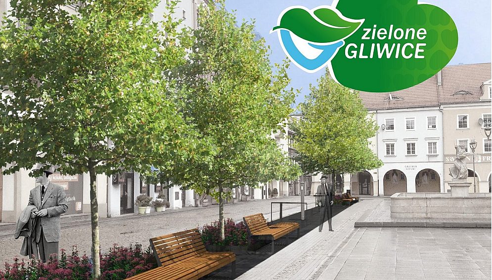 Zielgl rynek