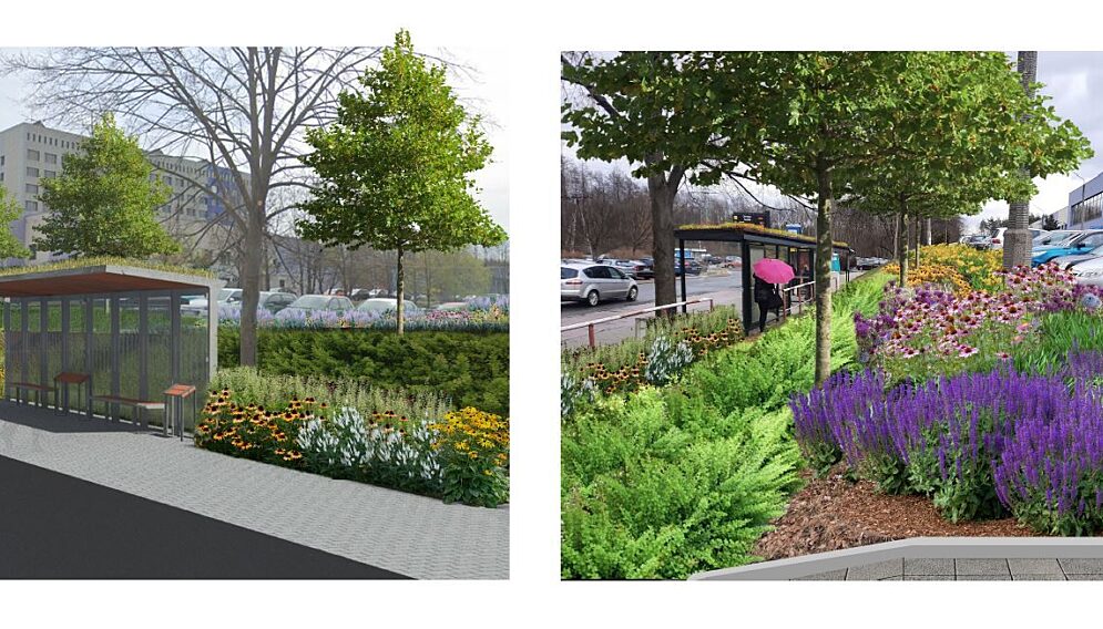 Zielone przystanki w katowicach