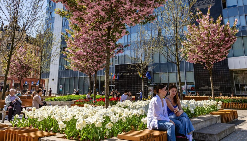 Zielony budzet w katowicach