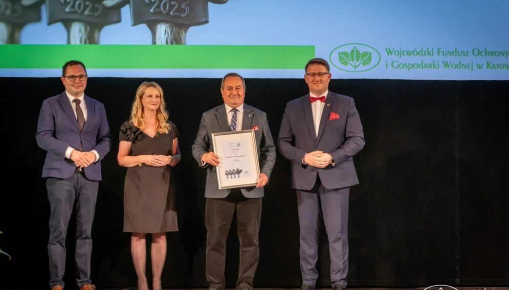 Zielony czek katowice