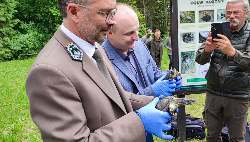 Zolwie blotne siewierz