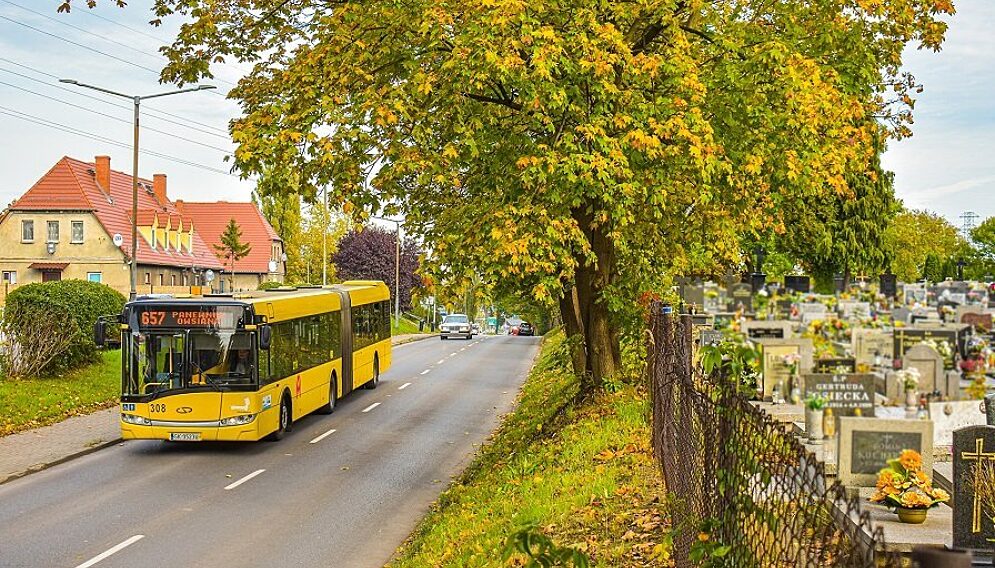 Ztm listopad2021