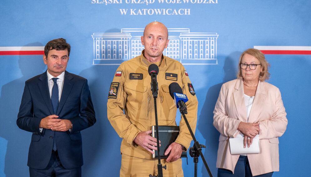 Złota alga w kłodnicy