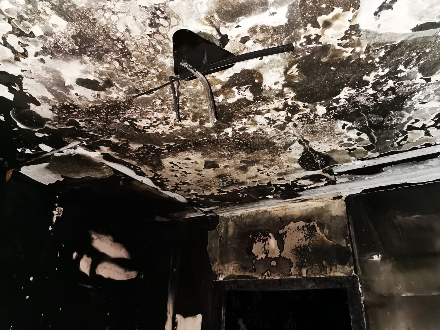 Ab8e88ee3e24acb5d1fea85906d7d242