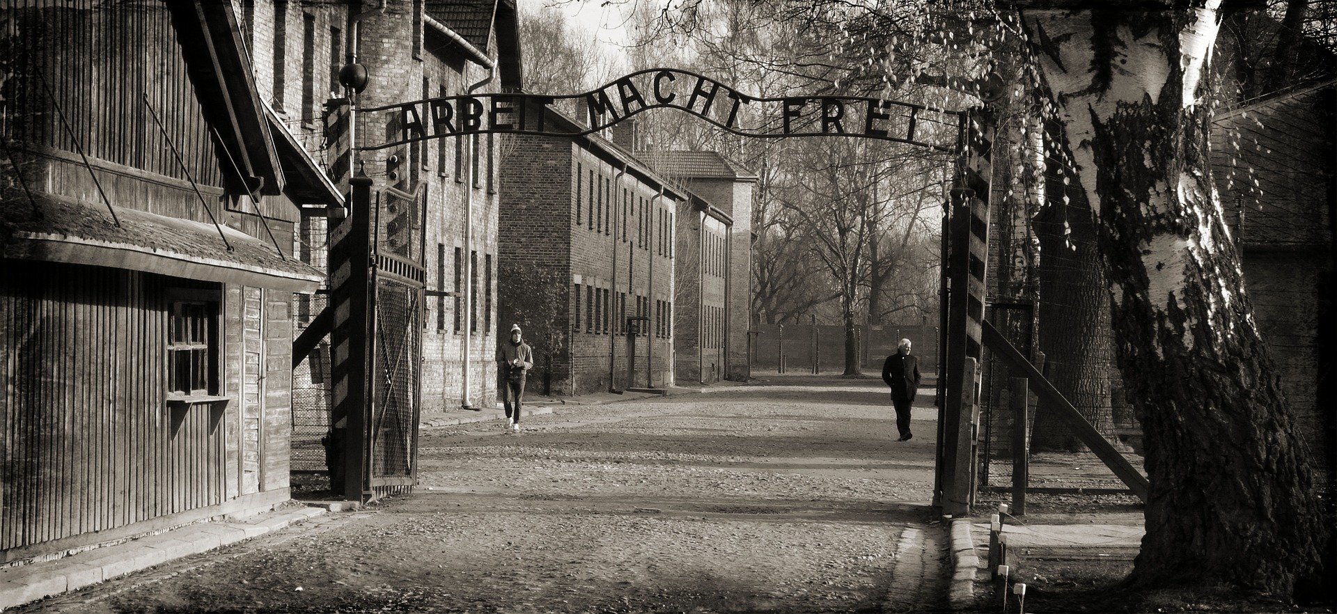Auschwitz 1066516 1920