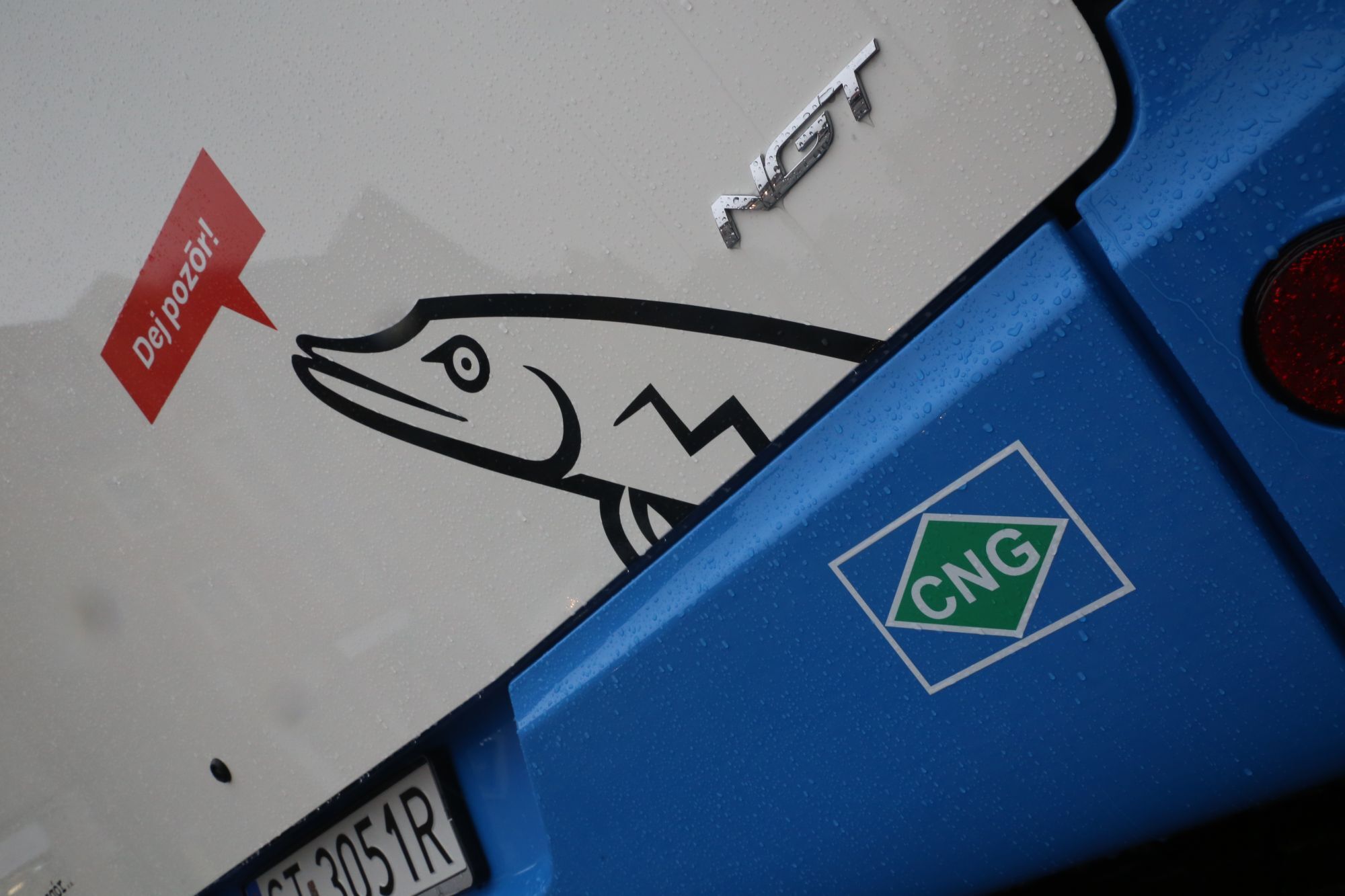 Autobusy na gaz fot W Troszka 6