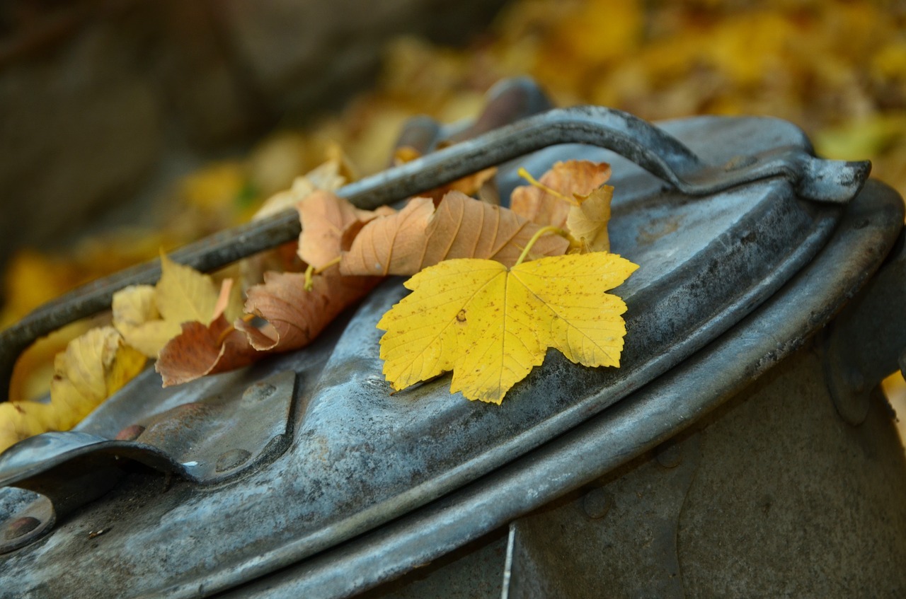 Autumn 1013608 1280