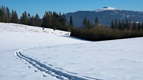 Babia 01