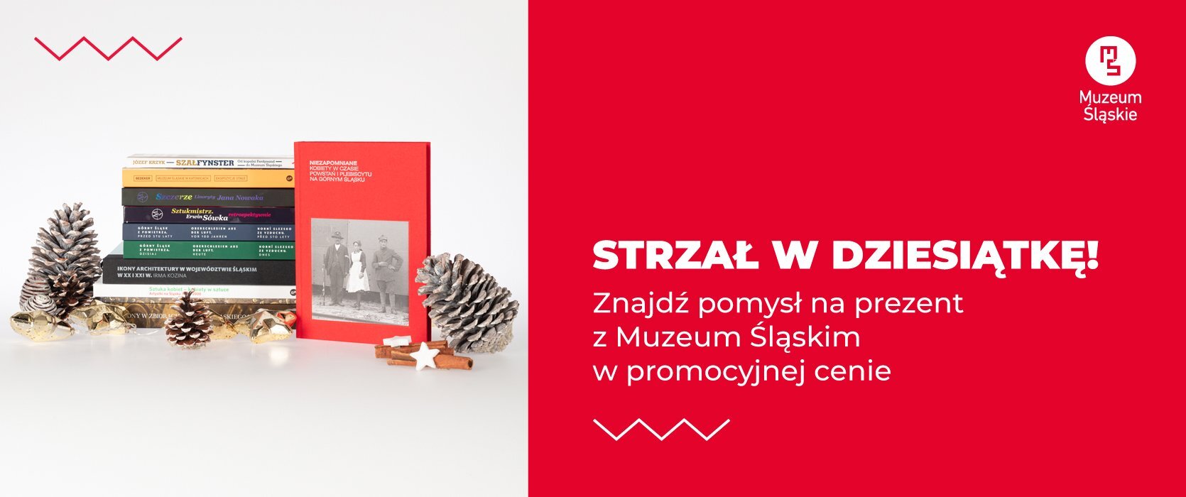 Baner newsletter