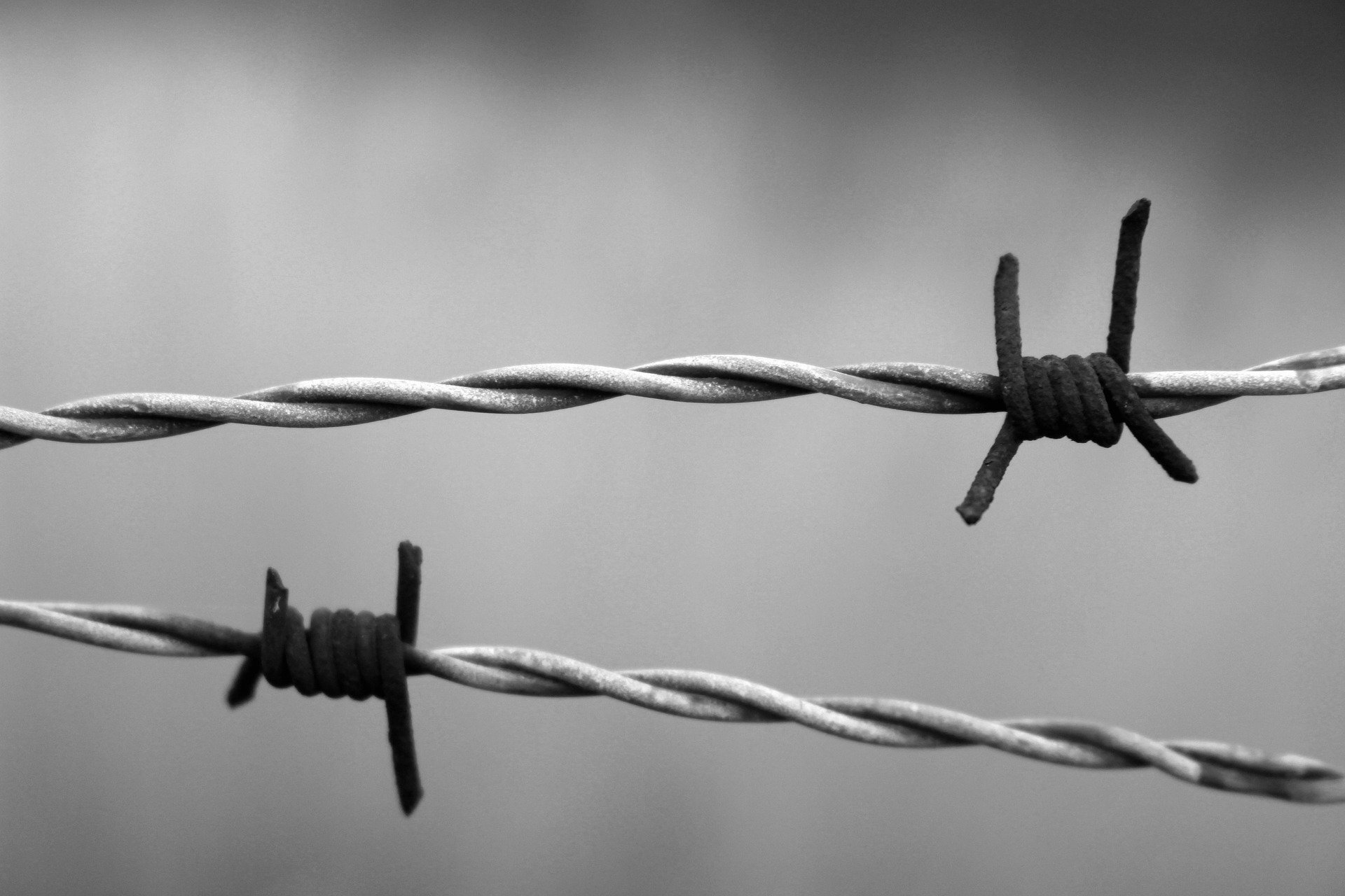 Barbed wire 1269430 1920