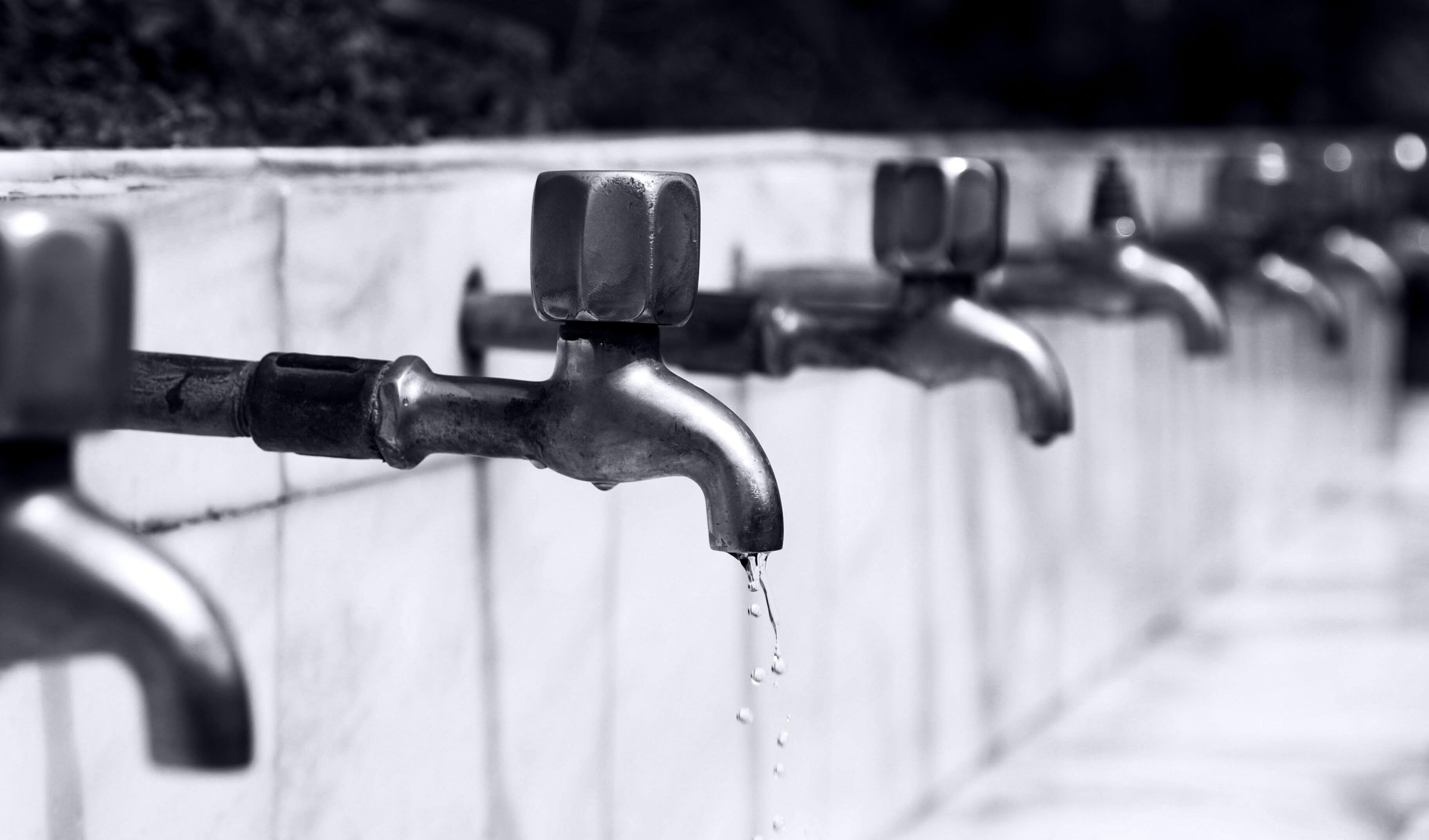Bathroom black and white drops 67184