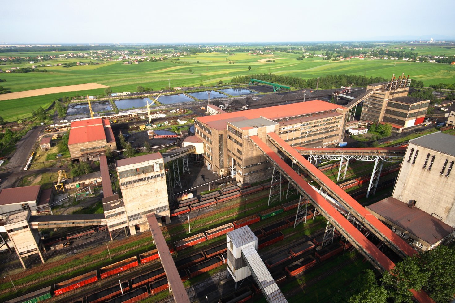 Borynia 07 fot piotr sobczak