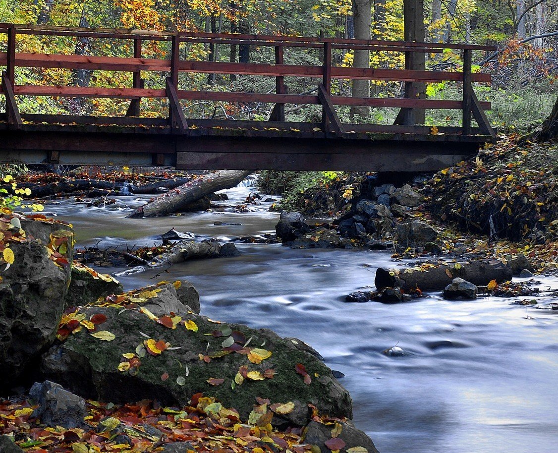 Bridge g9326742b7 1920