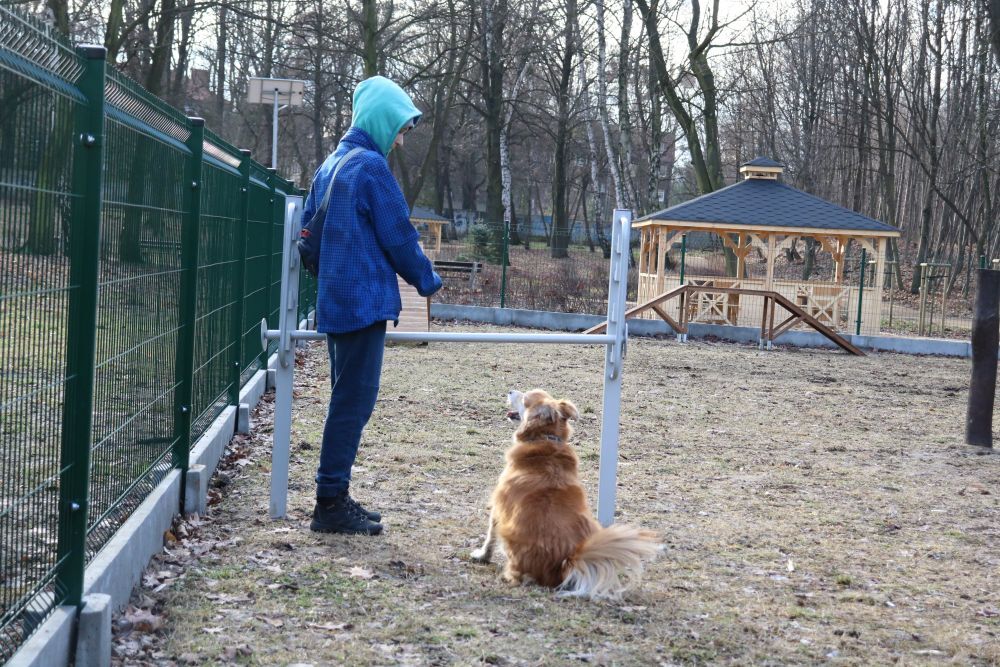 Brzeziny park gotowy5