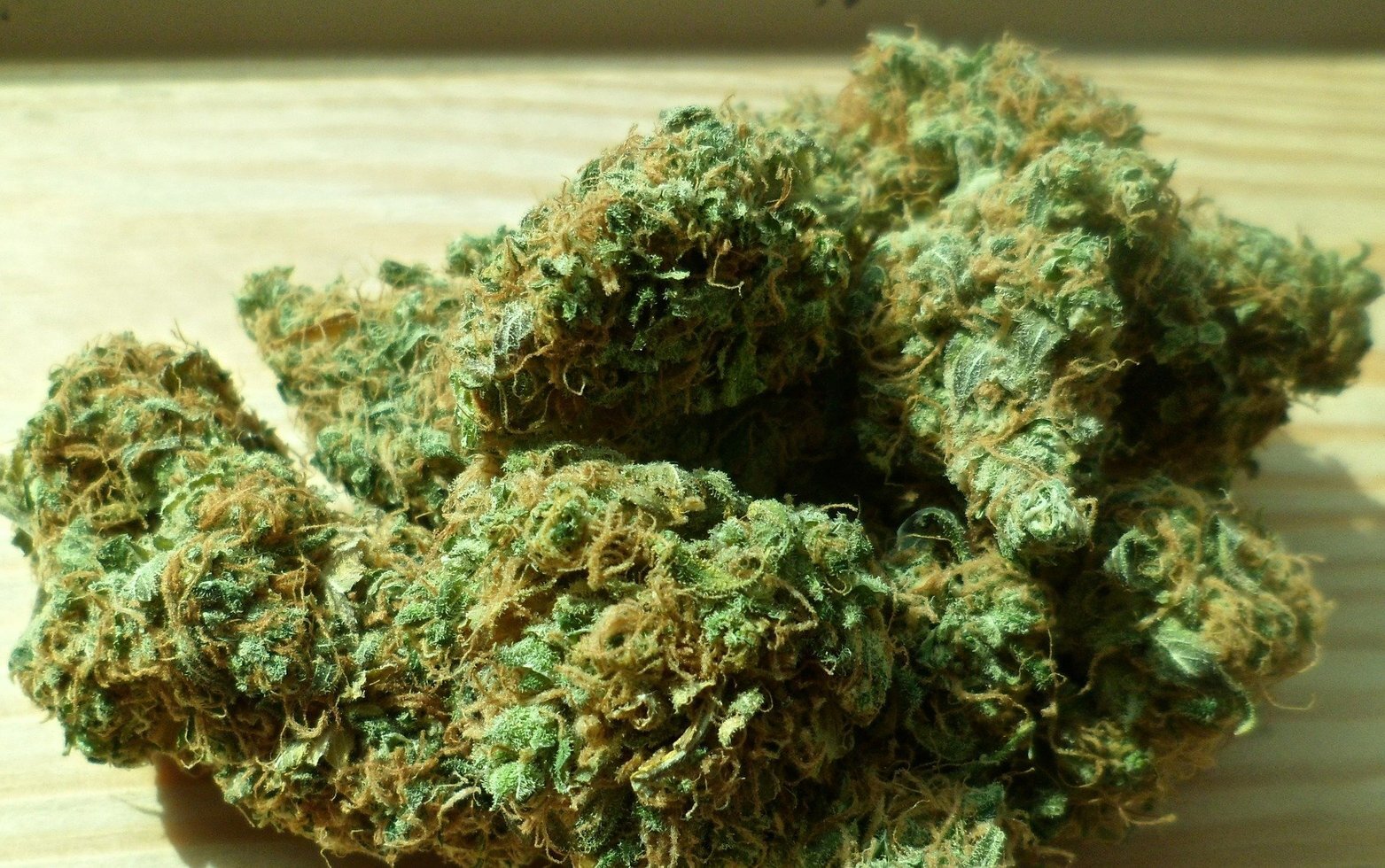 Cannabis 448661 1920 01