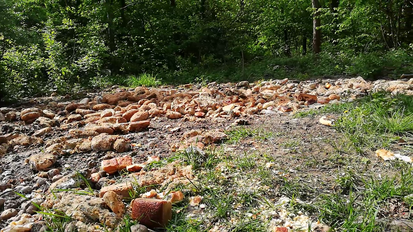 Chleb wysypisko 004