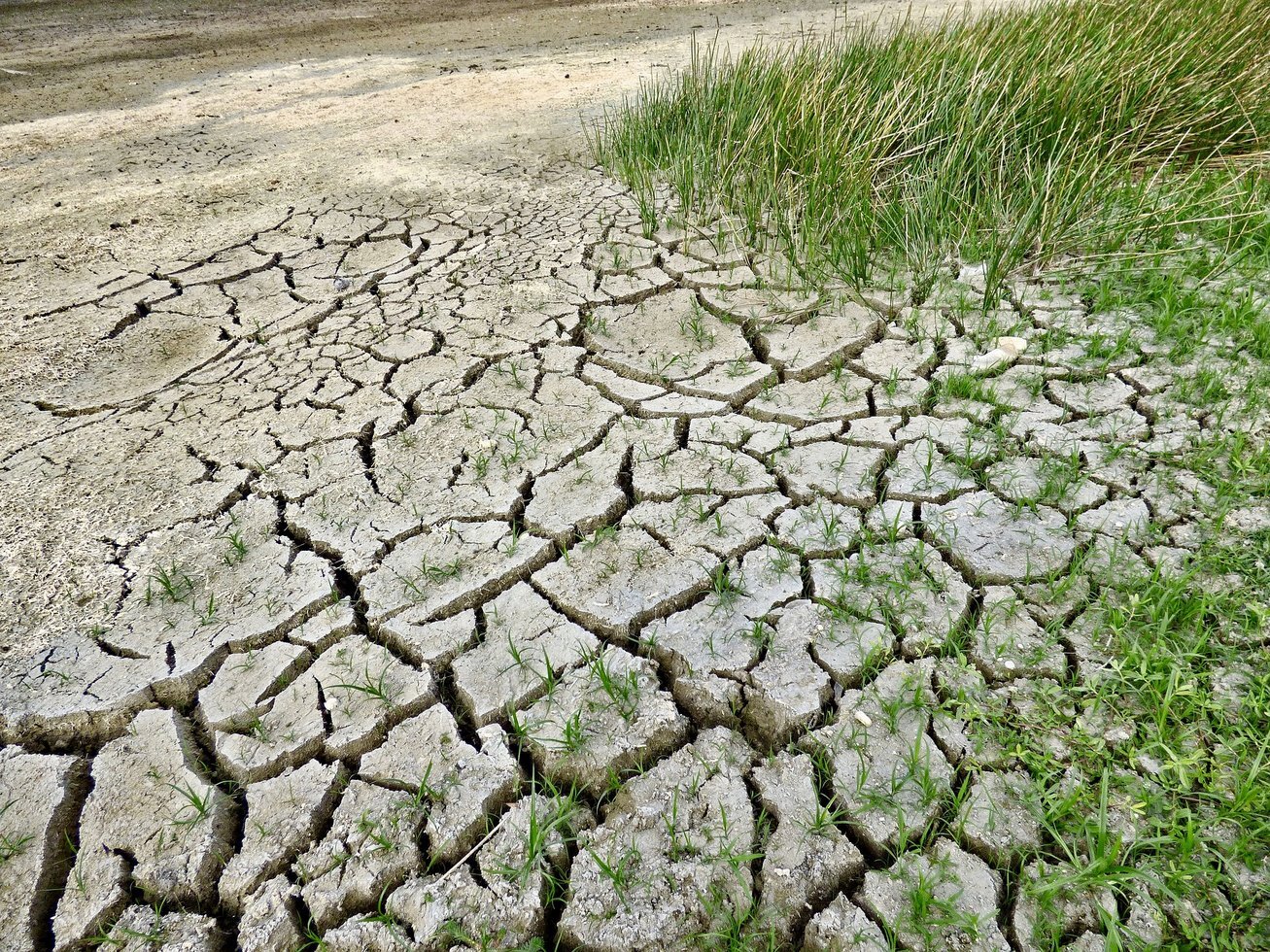 Climate change 2241061 1920
