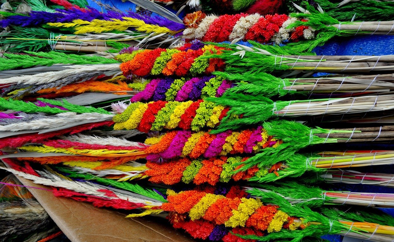 Color 3240869 1280