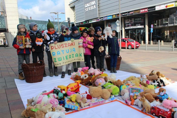 Content akcja pluszaki 5 m