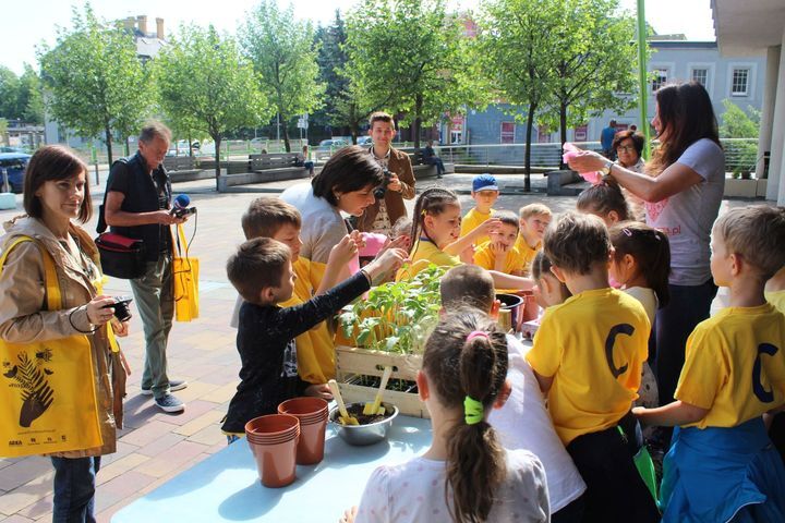 Content siejemy slonce bb 4 m