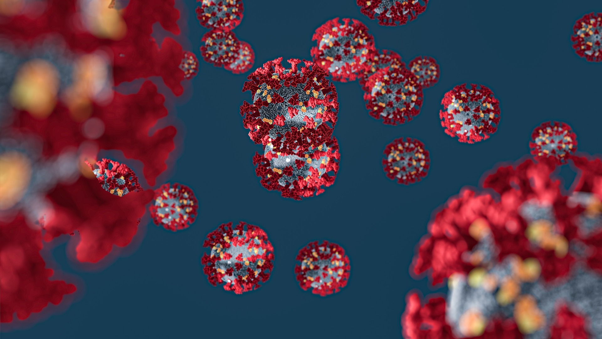 Corona virus 4932576 1920 01