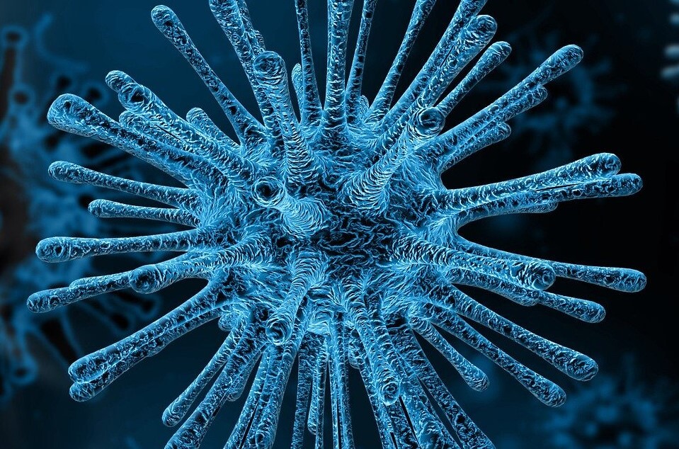Coronavirus 4817450 19