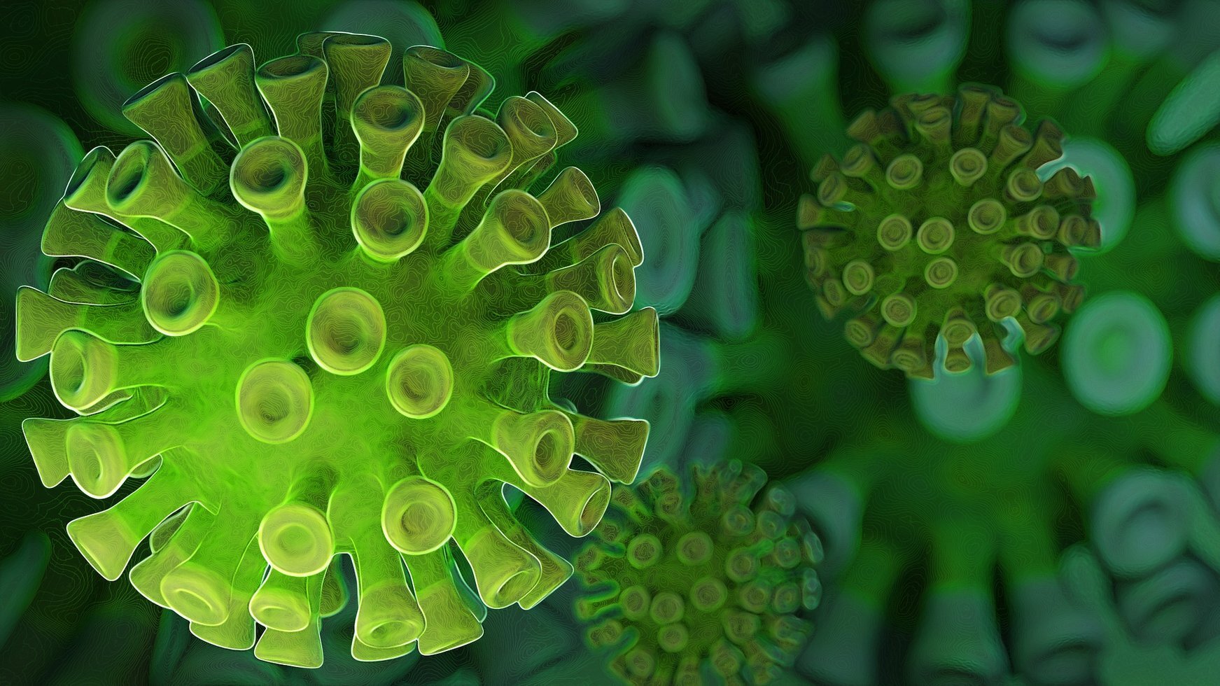 Coronavirus 5019456 1920