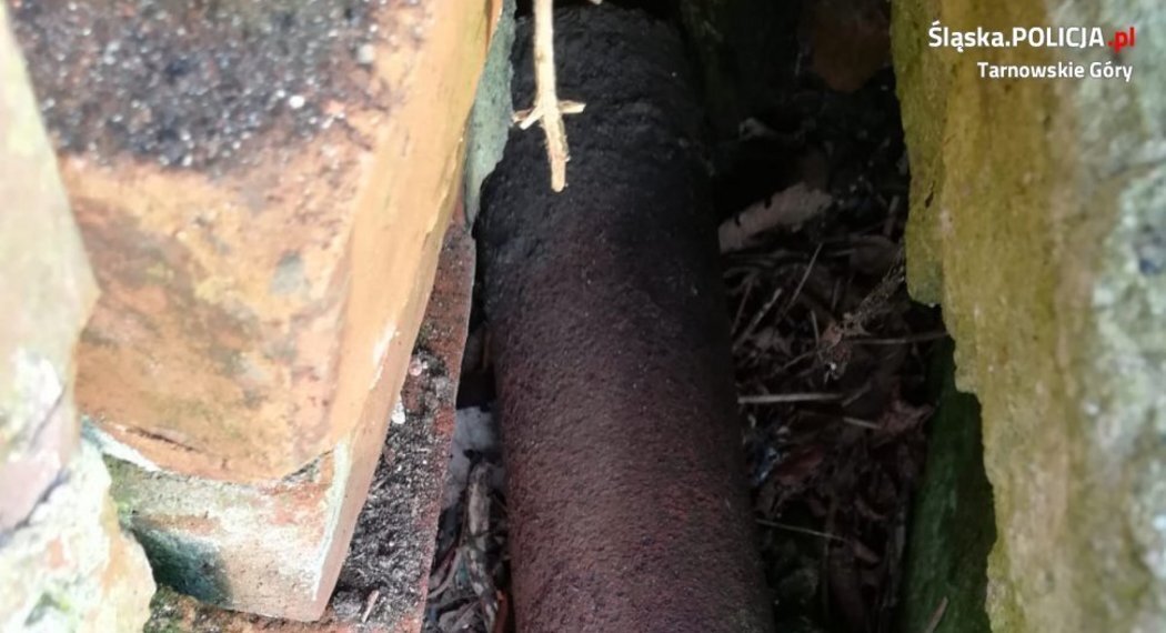 Csm 61 587777 cc0f7cf0d4