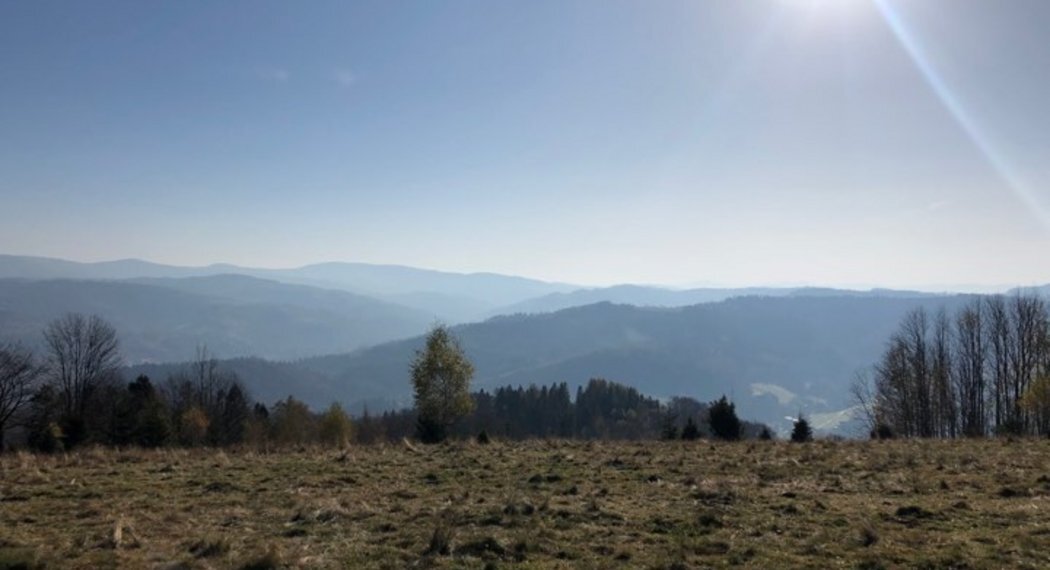 Csm 73282493 2568629069857361 1124600885394014208 n bd3cd704b0