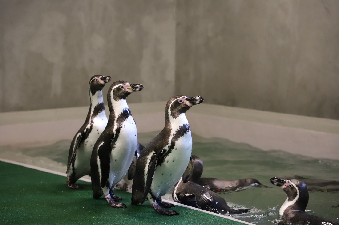 Csm IMG 2256 4ab19e588c