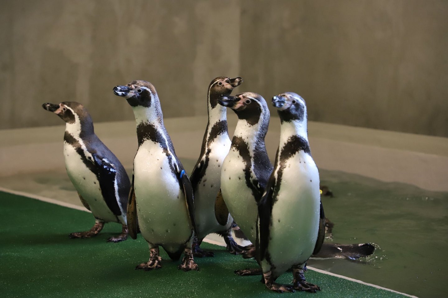 Csm IMG 2261 dcf592084b