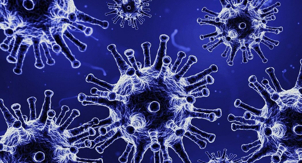 Csm Zaraza fala hejtu wobec chorych e1775c4037