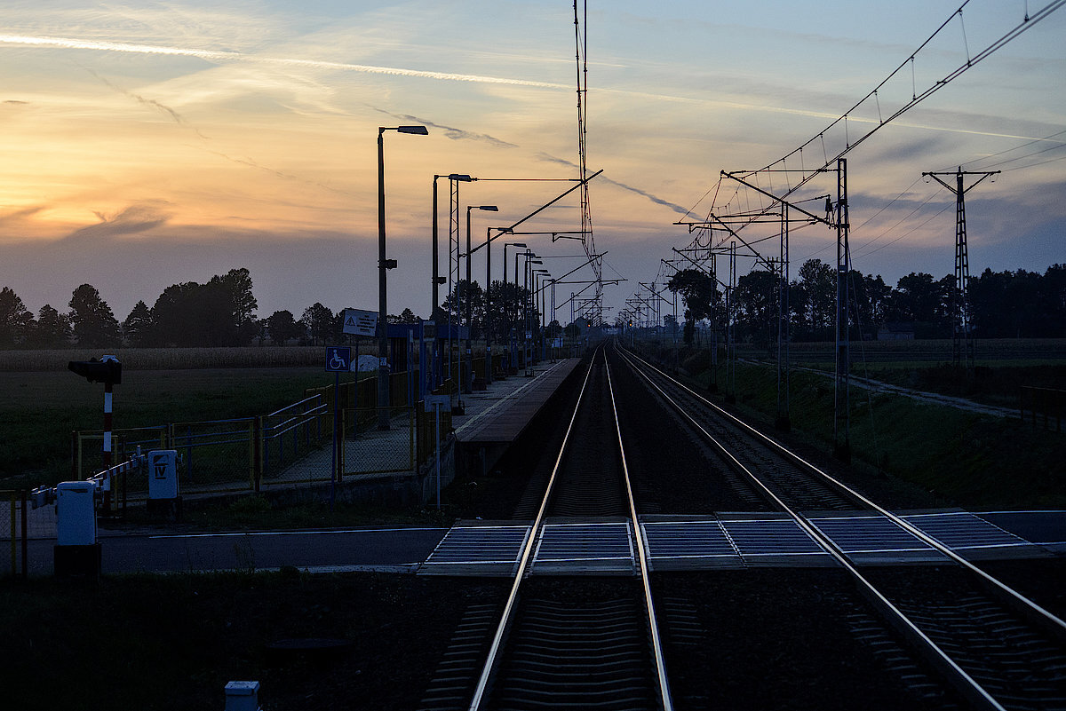 Csm DSC 2056 55e89cb8a2