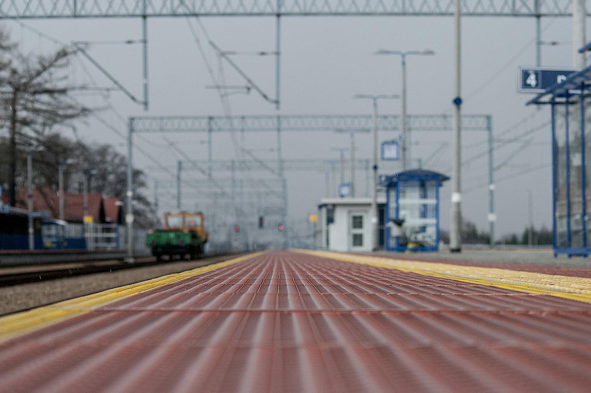 Csm DSC 2583 5e40482aec