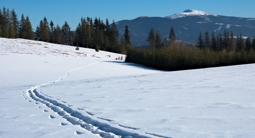 Csm babia top 2077223 1920 b6bf65ff46