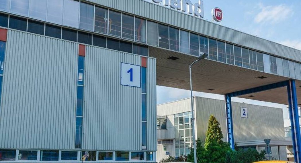 Csm csm 29572817 2102471616651924 2998050204981365302 n eed85d318f 1 61aabcd392