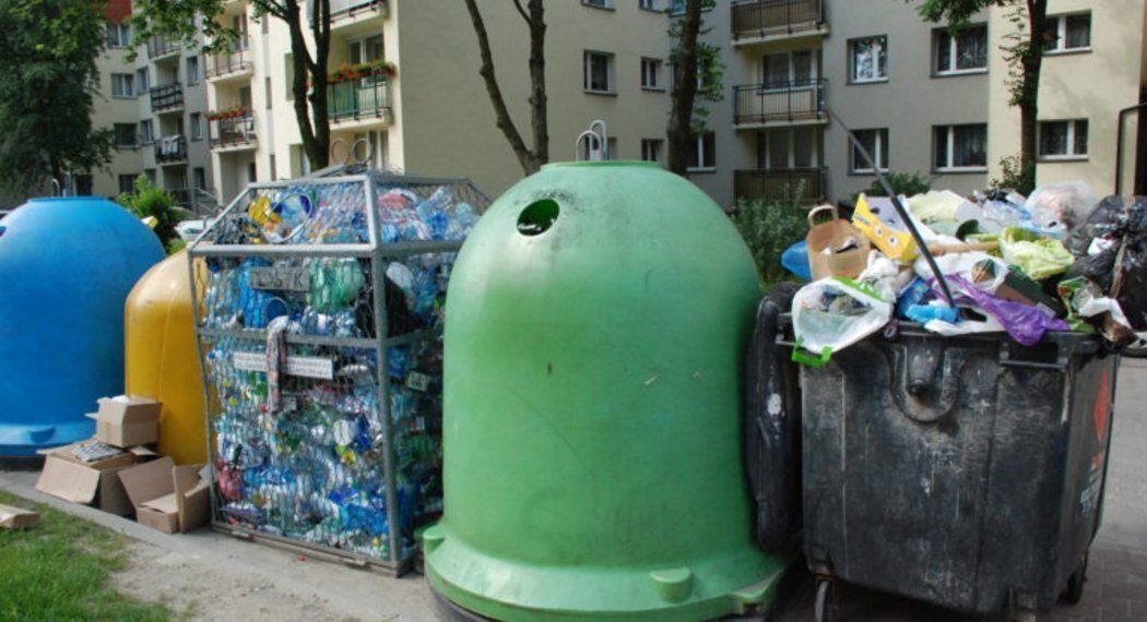 Csm csm dsc 1558 768x514 4546b3d666 394720b948