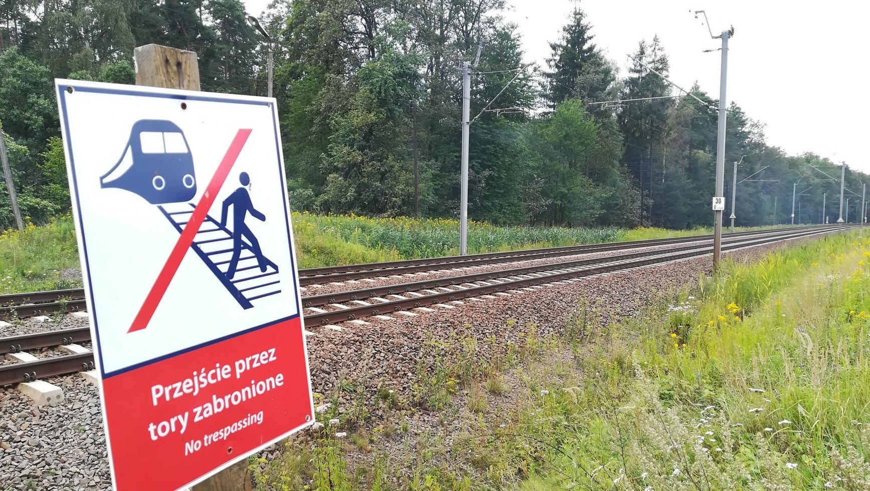 Csm okienko na storne add789d5b9