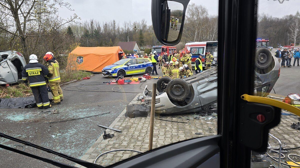 Cwiczenia sluzb w laziskach