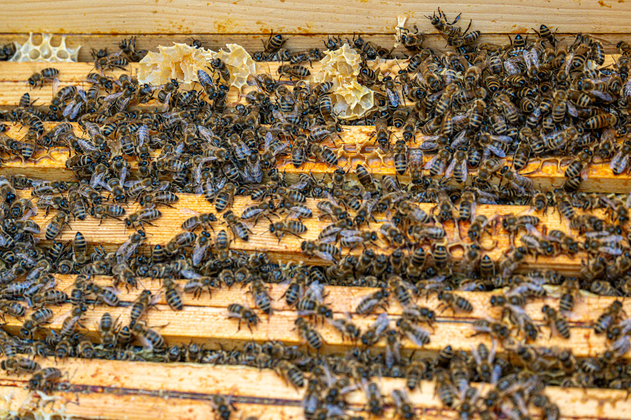 D287cfd31eb26a21239f6231e2e8ea21