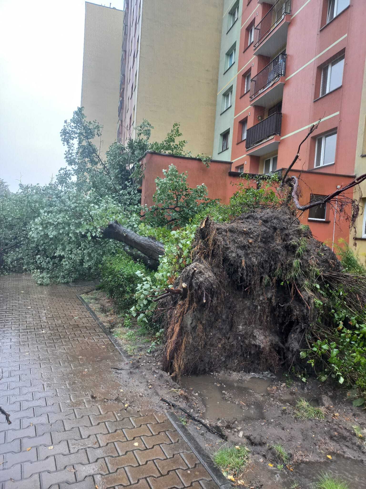 Dabrowa gornicza zalanie