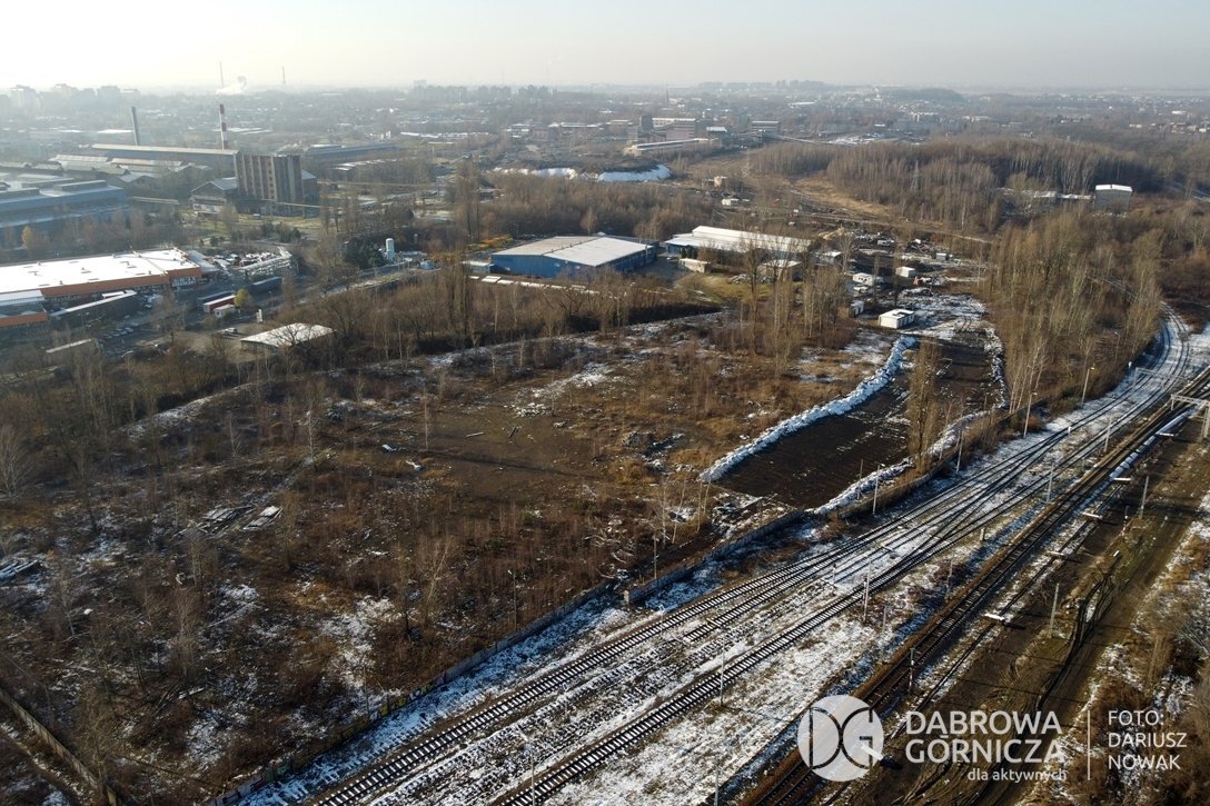 Dabrowa4