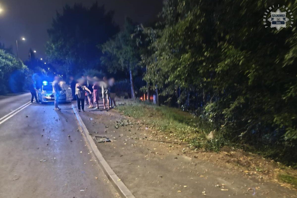 Dachowanie w żorach