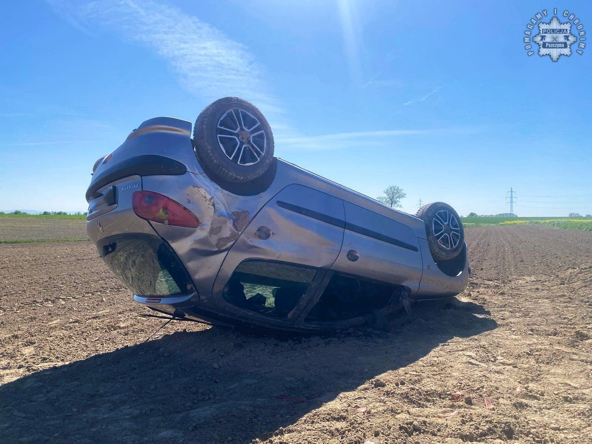 Dachowanie w studzionce