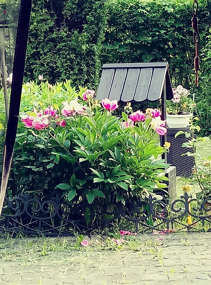 Danuta