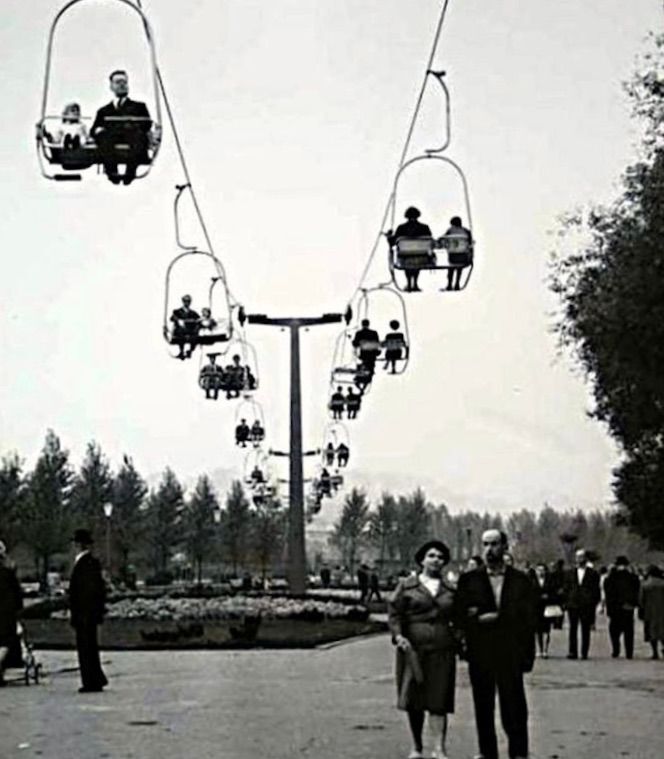 Dawna elka w parku slaskim