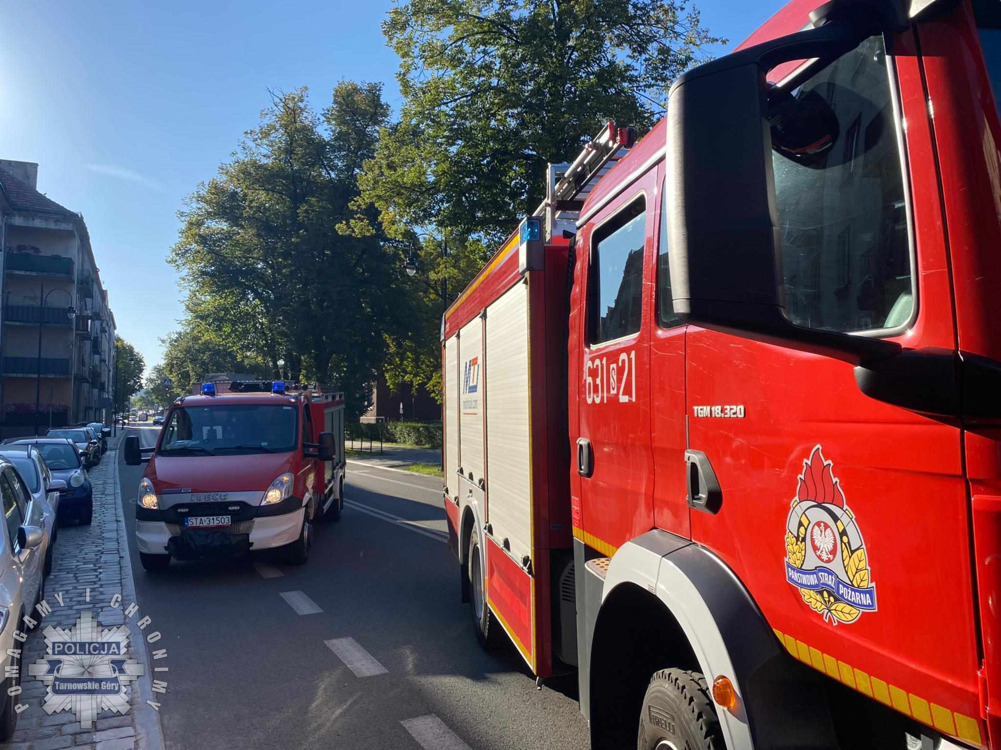 Dbf61c33 438a 41f4 9c4f b674f967e8e5