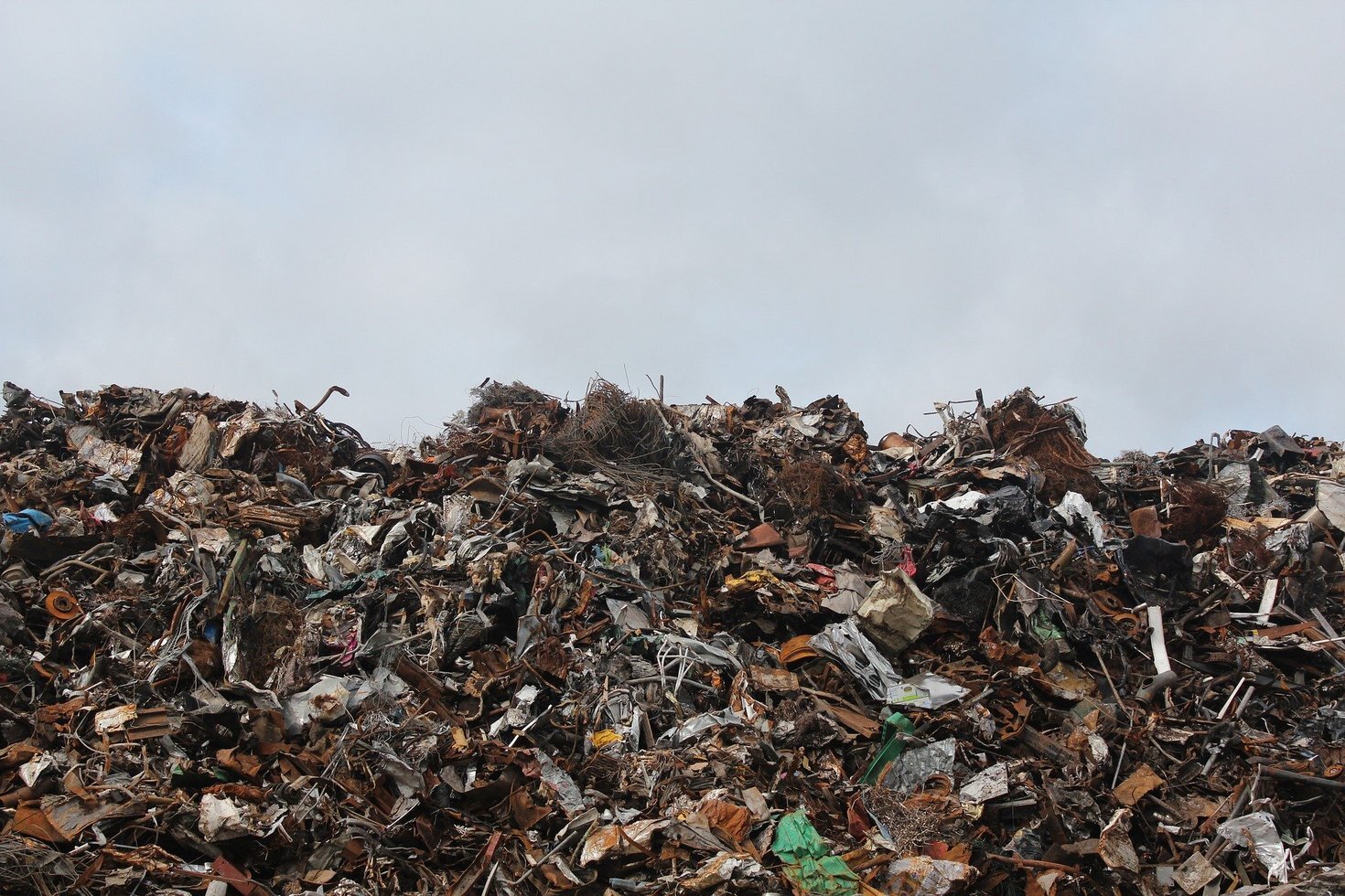 Disposal 1846033 1920