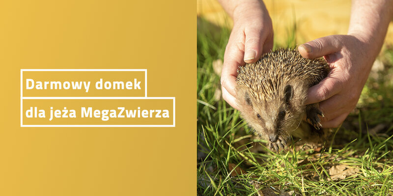 Domekdlajeza