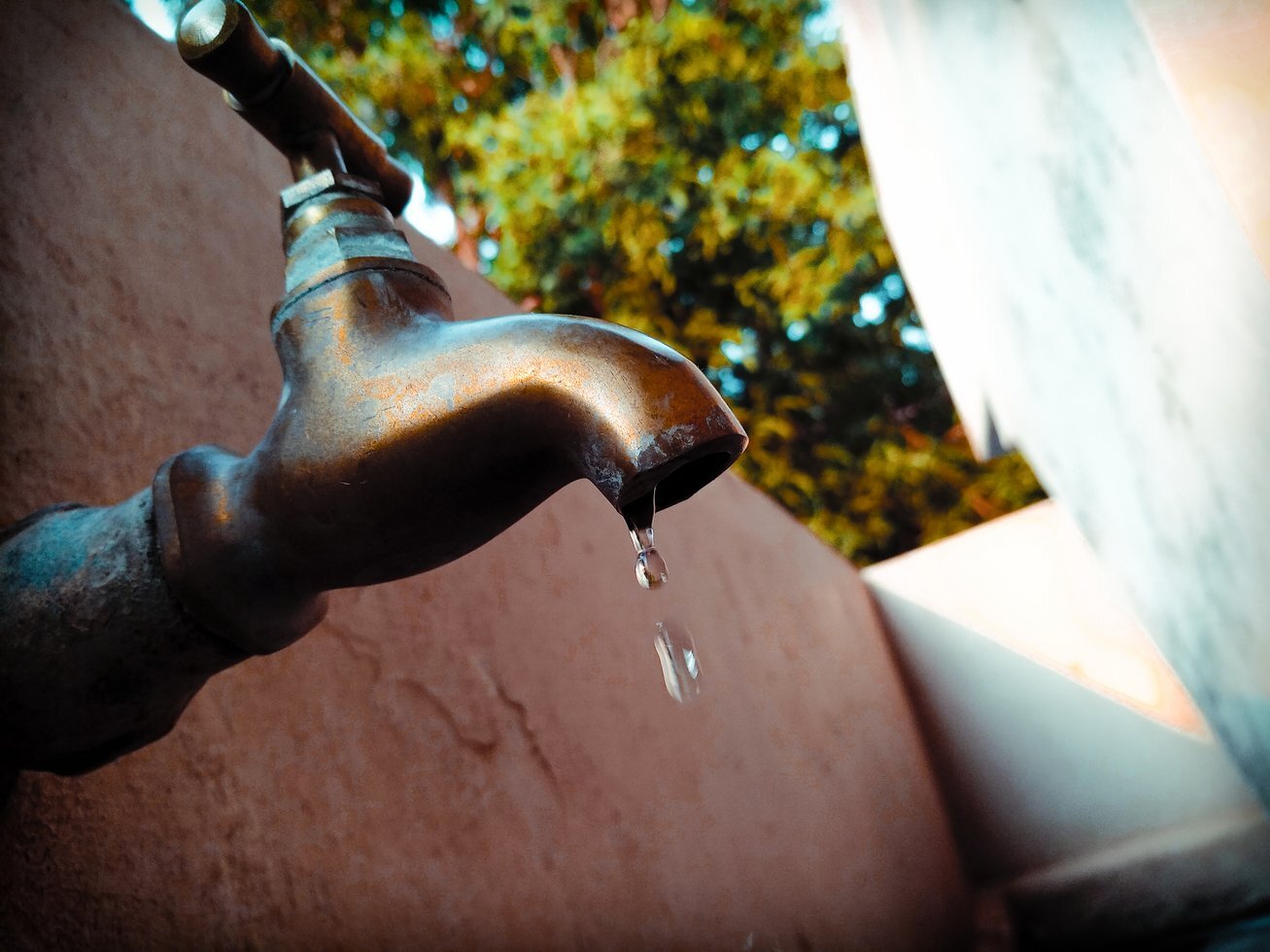 Drought eco lifesaver 870342